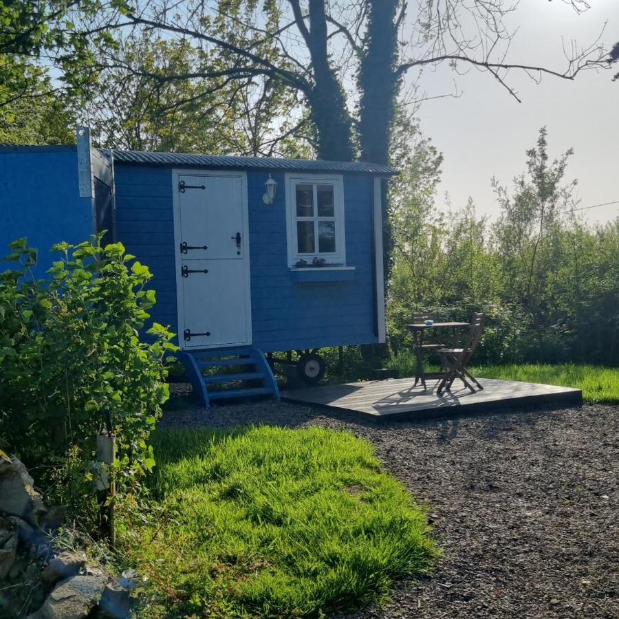 Villa Westport Glamping At Doon Angus Farm Extérieur photo